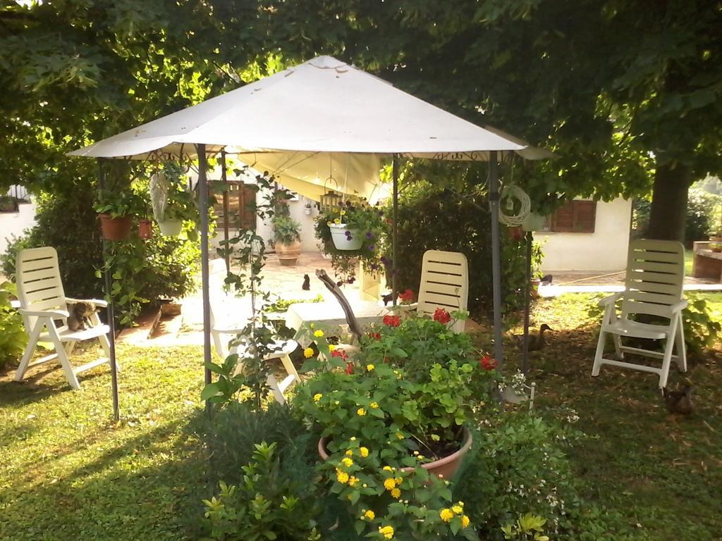 Bed And Breakfast Casale Isorella San Gemini Zewnętrze zdjęcie