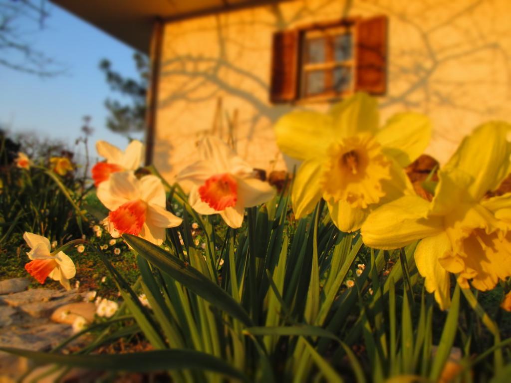 Bed And Breakfast Casale Isorella San Gemini Zewnętrze zdjęcie