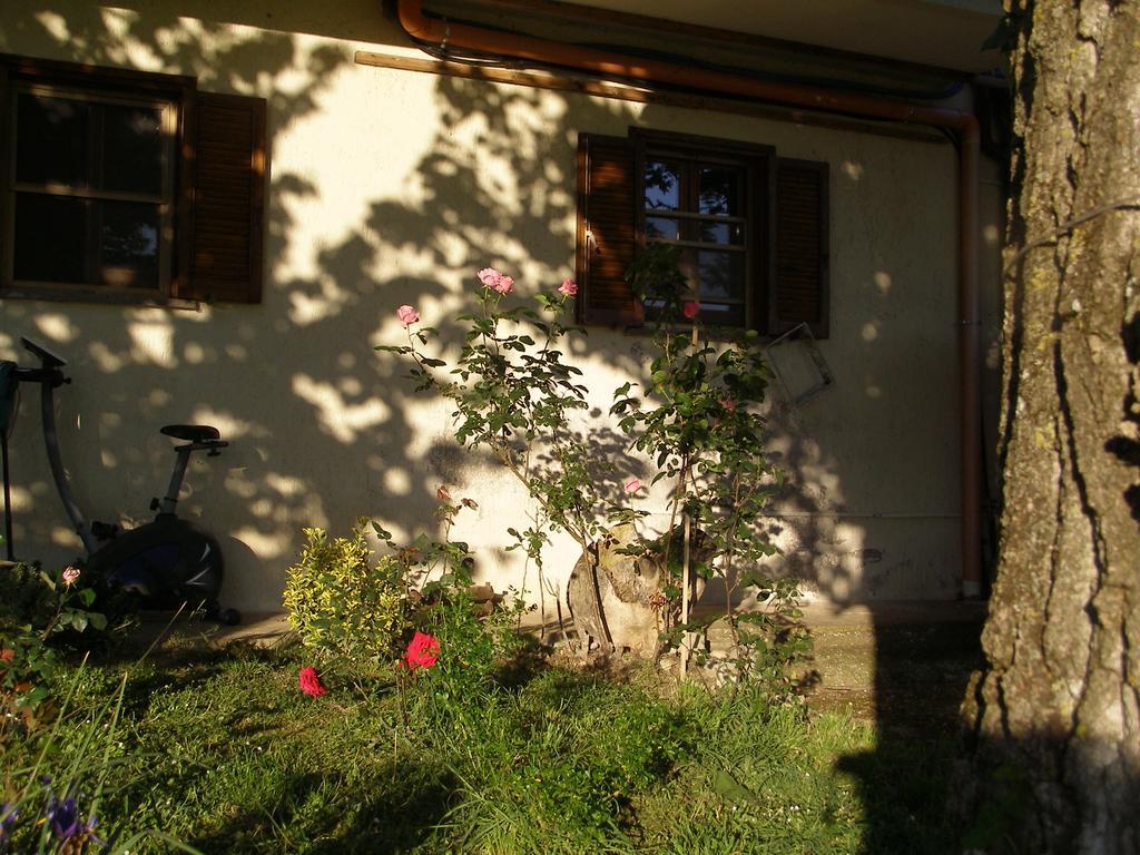 Bed And Breakfast Casale Isorella San Gemini Zewnętrze zdjęcie