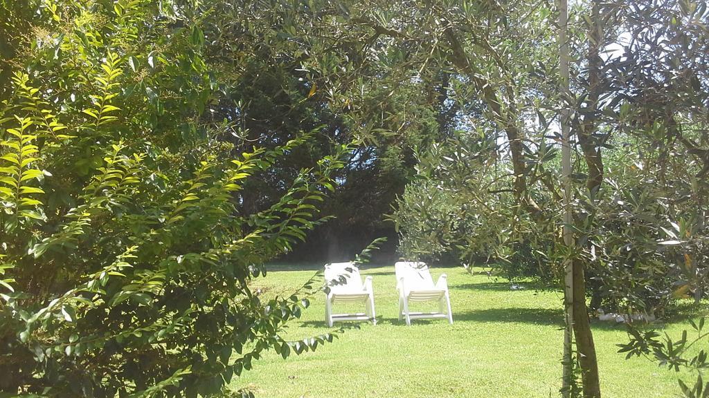 Bed And Breakfast Casale Isorella San Gemini Zewnętrze zdjęcie