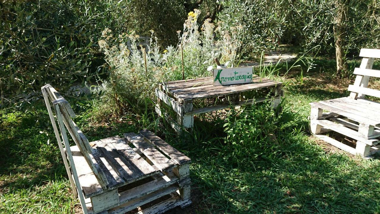 Bed And Breakfast Casale Isorella San Gemini Zewnętrze zdjęcie
